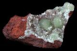 Gemmy, Green Adamite Crystals - Durango, Mexico #34937-1